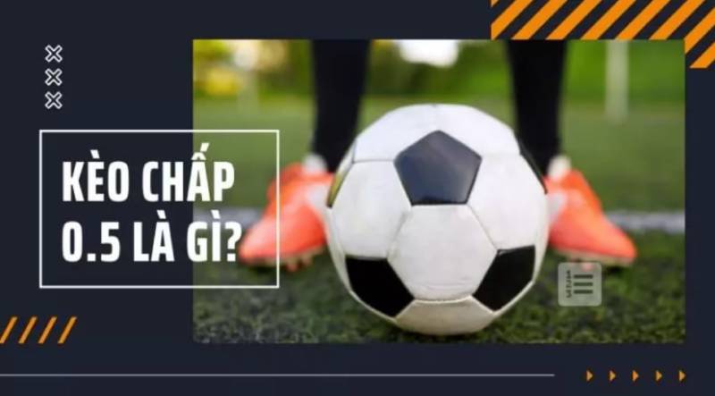 Kèo nhà cái Fund - Tỷ lệ kèo nhà cái 5 Keonhacai bóng đá trực tiếp (tryst.uk.com) 339 Kèo Chấp 0.5 Là Gì? Cách Đọc Và Kinh Nghiệm Cược Hiệu Quả