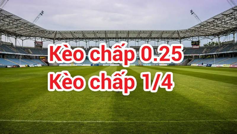 Kèo nhà cái Fund - Tỷ lệ kèo nhà cái 5 Keonhacai bóng đá trực tiếp (tryst.uk.com) 320 Kèo Chấp 1/4 Ăn Như Thế Nào? Có Nên Vào Tiền Kèo Này Không?